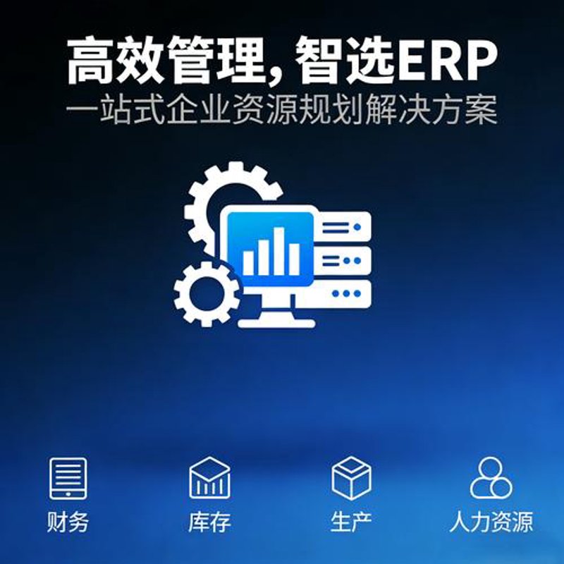 ERP 系统开发：企业信息化的助推器